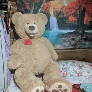 Meet your Posher, Charlene